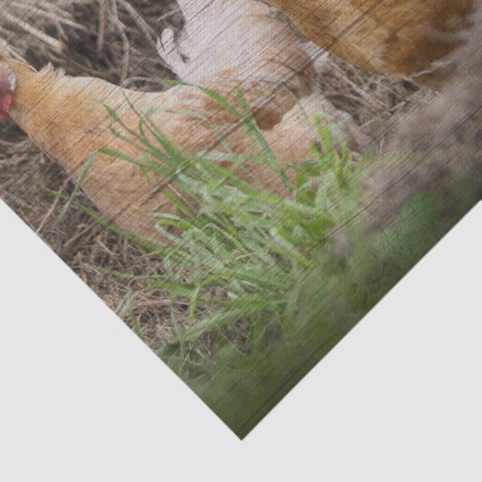 Rooster en hennen tissuepapier (Detail)