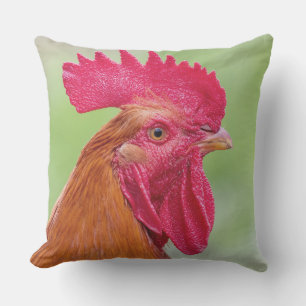 Rooster en kip buitenkussen