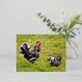 Rooster en kip op gras folie feestdagen briefkaart (Staand Voorkant)