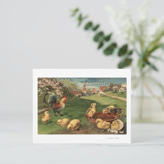 Rooster en kippen briefkaart (Staand voorkant)