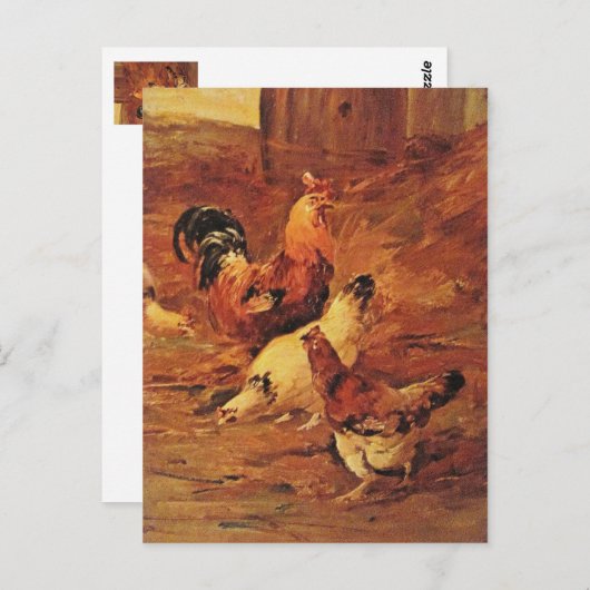 Rooster en kippen briefkaart (Voorkant / Achterkant)