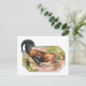 Rooster en kippen briefkaart (Staand voorkant)