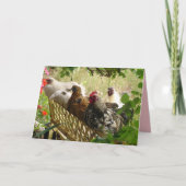 Rooster en kippen Chook Boerderij Country Card Kaart (Voorkant)