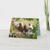 Rooster en kippen Chook Boerderij Country Card Kaart (Voorkant)