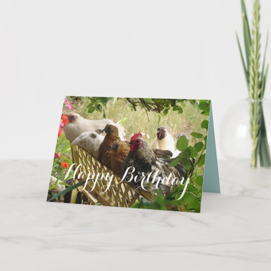 Rooster en kippen Chook Boerderij Country Card Kaart (Voorkant)