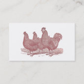 Rooster en kippen Plymouth Rock Boerderij Visitekaartje (Achterkant)