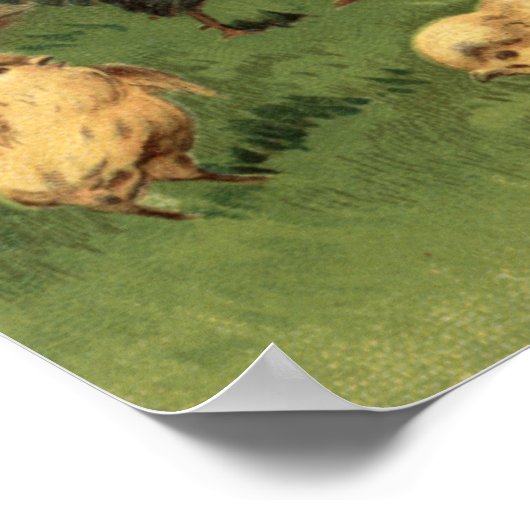 Rooster en kippen poster (Hoek)