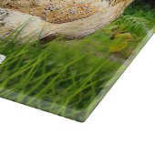 Rooster en kippen snijplank (Hoek)