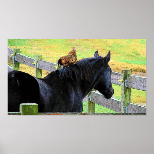 Rooster en Mare Poster (Voorkant)
