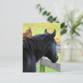 Rooster en merrie briefkaart (Staand voorkant)