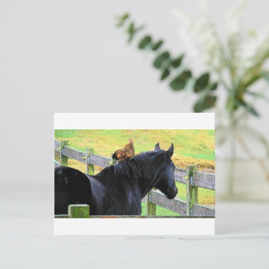 Rooster en merrie briefkaart (Staand voorkant)