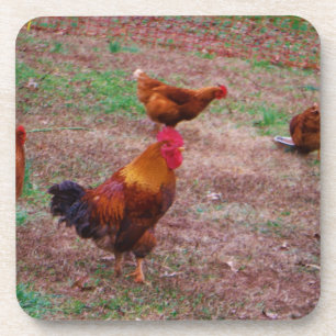 Rooster en zijn kippen drankjes onderzetter