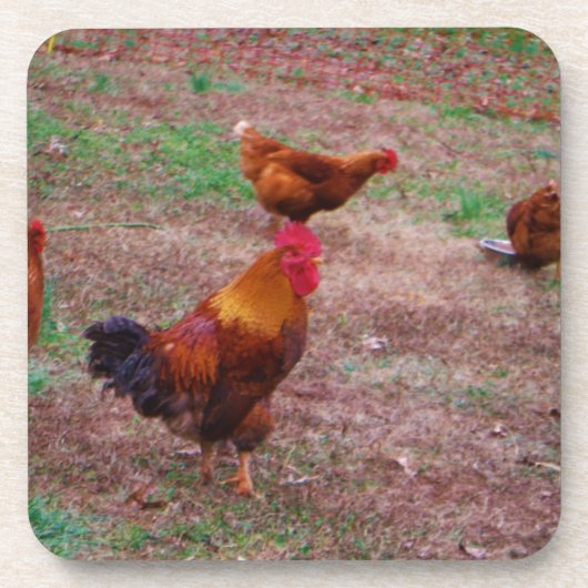 Rooster en zijn kippen drankjes onderzetter (Voorkant)