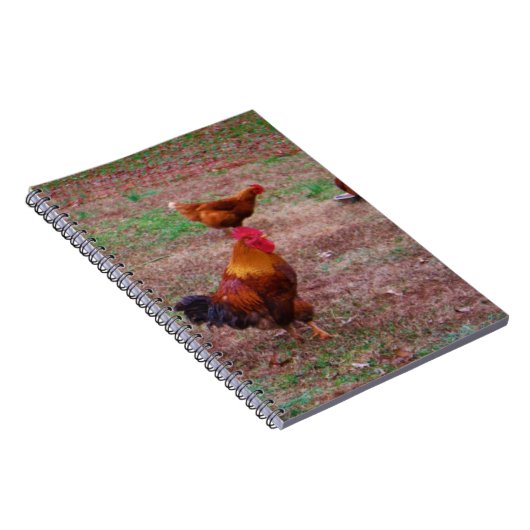 Rooster en zijn kippen notitieboek (Rechterzijde)