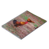 Rooster en zijn kippen notitieboek (Linkerzijde)