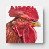 Rooster Face Fotoplaat (Voorkant)
