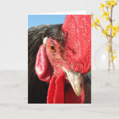 Rooster Face Kaart (Gele Bloem)