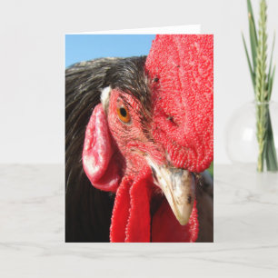 Rooster Face Kaart