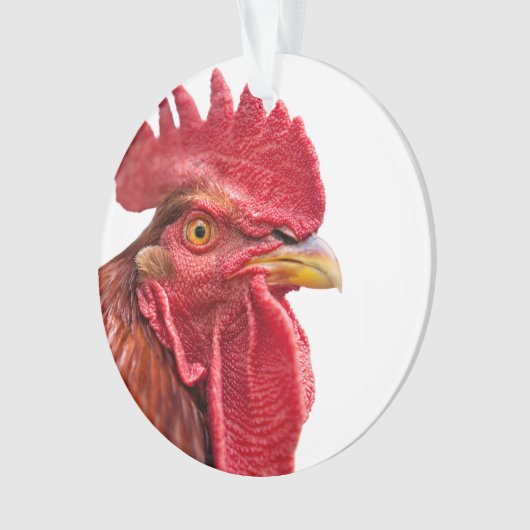 Rooster Face Ornament (voorkant)