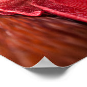 Rooster Face Poster (Hoek)