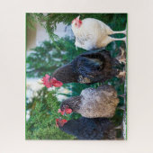 Rooster Family Jigzaag Puzzle Legpuzzel (Verticaal)