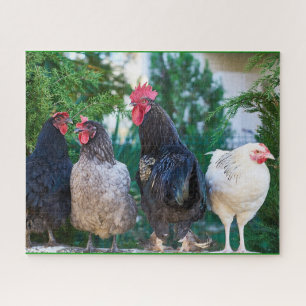 Rooster Family Jigzaag Puzzle Legpuzzel