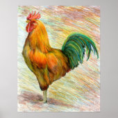 Rooster Fine Art Poster (Voorkant)