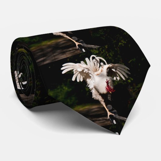 Rooster-flapende vleugels stropdas (Opgerold)