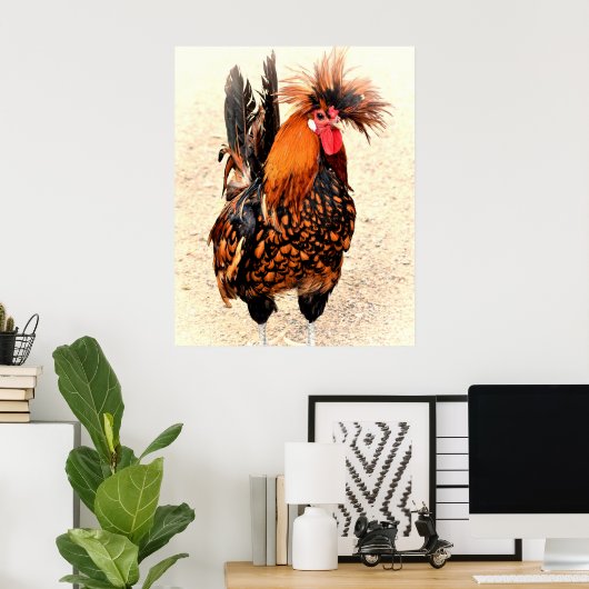 Rooster Foto 136 Poster (Thuiskantoor)