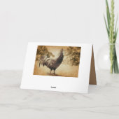 Rooster  foto kaart (Achterkant)