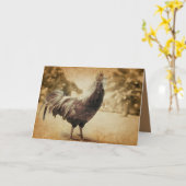 Rooster  foto kaart (Gele Bloem)
