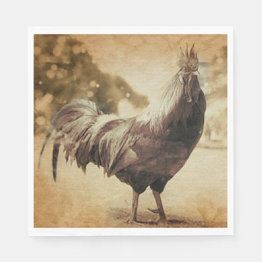 Rooster  foto servet (Voorkant)