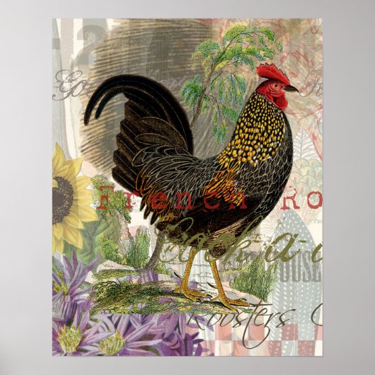  Rooster French Collage Art Poster (Voorkant)