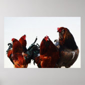 Rooster Gang Chicken Rooster Art Poster (Voorkant)