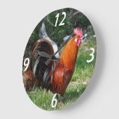 rooster grote klok (Hoek)