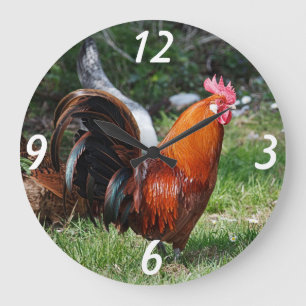 rooster grote klok