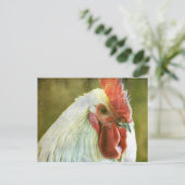 Rooster Grunge Briefkaart (Staand voorkant)