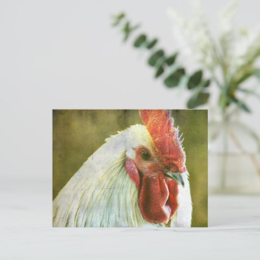 Rooster Grunge Briefkaart (Staand voorkant)