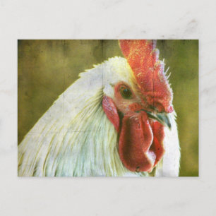 Rooster Grunge Briefkaart