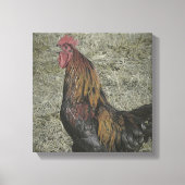 Rooster Grunge Canvas Afdruk (Voorkant)