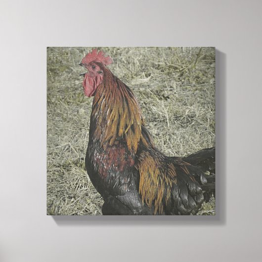 Rooster Grunge Canvas Afdruk (Voorkant)