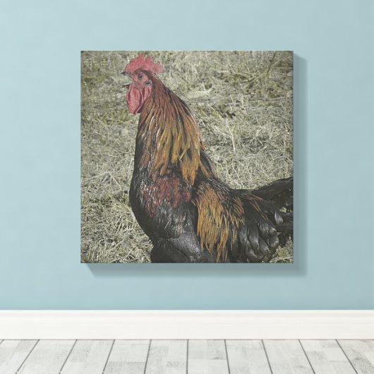 Rooster Grunge Canvas Afdruk (Insitu (Houten vloer))