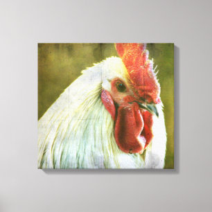 Rooster Grunge Canvas afdrukken