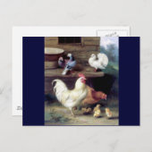 Rooster Hen Chicken Doves Briefkaart (Voorkant / Achterkant)