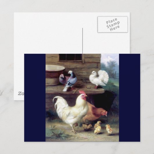 Rooster Hen Chicken Doves Briefkaart (Voorkant / Achterkant)