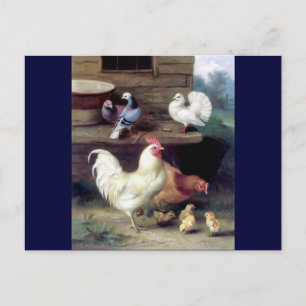 Rooster Hen Chicken Doves Briefkaart