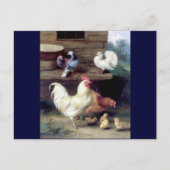 Rooster Hen Chicken Doves Briefkaart (Voorkant)