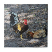 Rooster, Hen en Chicken Tegeltje (Voorkant)