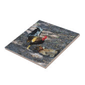 Rooster, Hen en Chicken Tegeltje (Zijkant)
