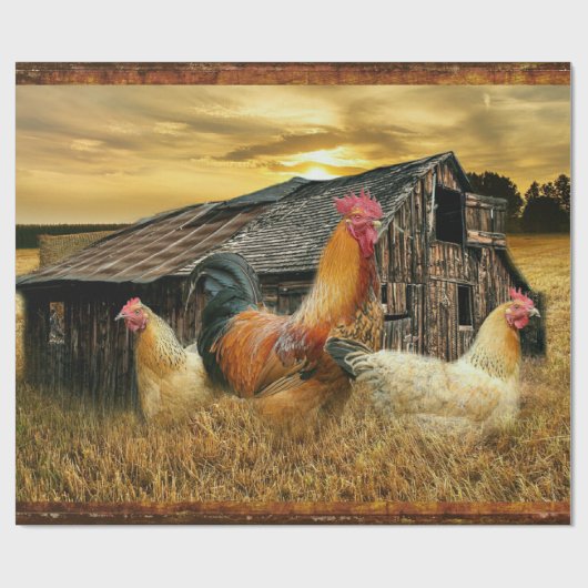 Rooster Hens Rustic Barn Coop Cadeaupapier (Vlak)